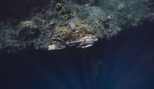 คลังภาพถ่ายฟรี ของ การดำน้ำลึก, การถ่ายภาพแบบโอเวอร์อันเดอร์, การถ่ายภาพใต้น้ำ