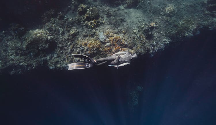 Scuba Diver Underwater 