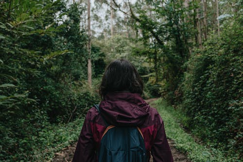 Back view of unrecognizable traveler in warm coat with backpack walking on footpath surrounded by tall green trees and bushes in woodland