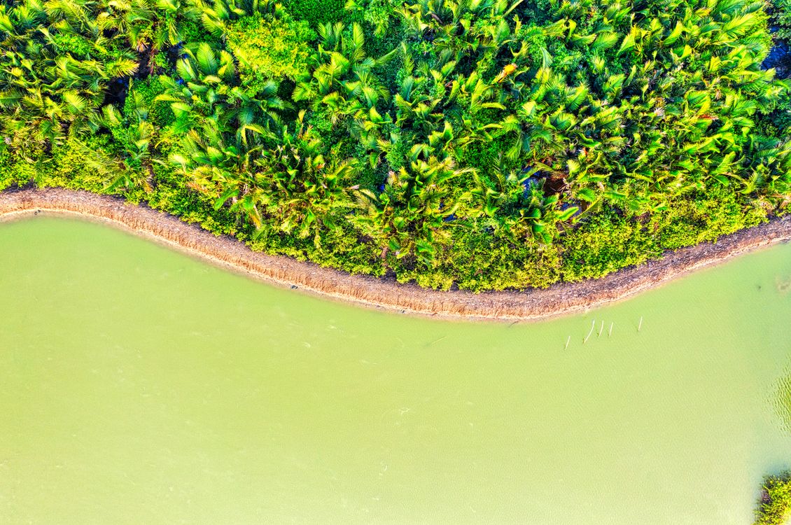 Indonesia Riverside Aerial Shot of a Riverside · Free Stock Photo