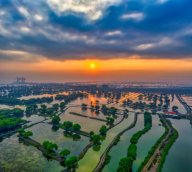 Aerial View Of Land And Pond 