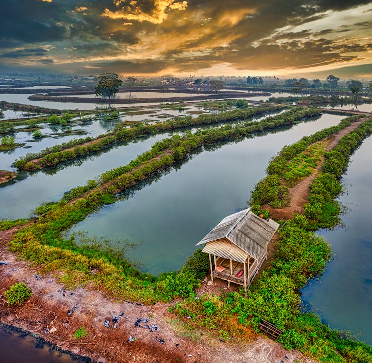 Aerial View Of Land And Pond