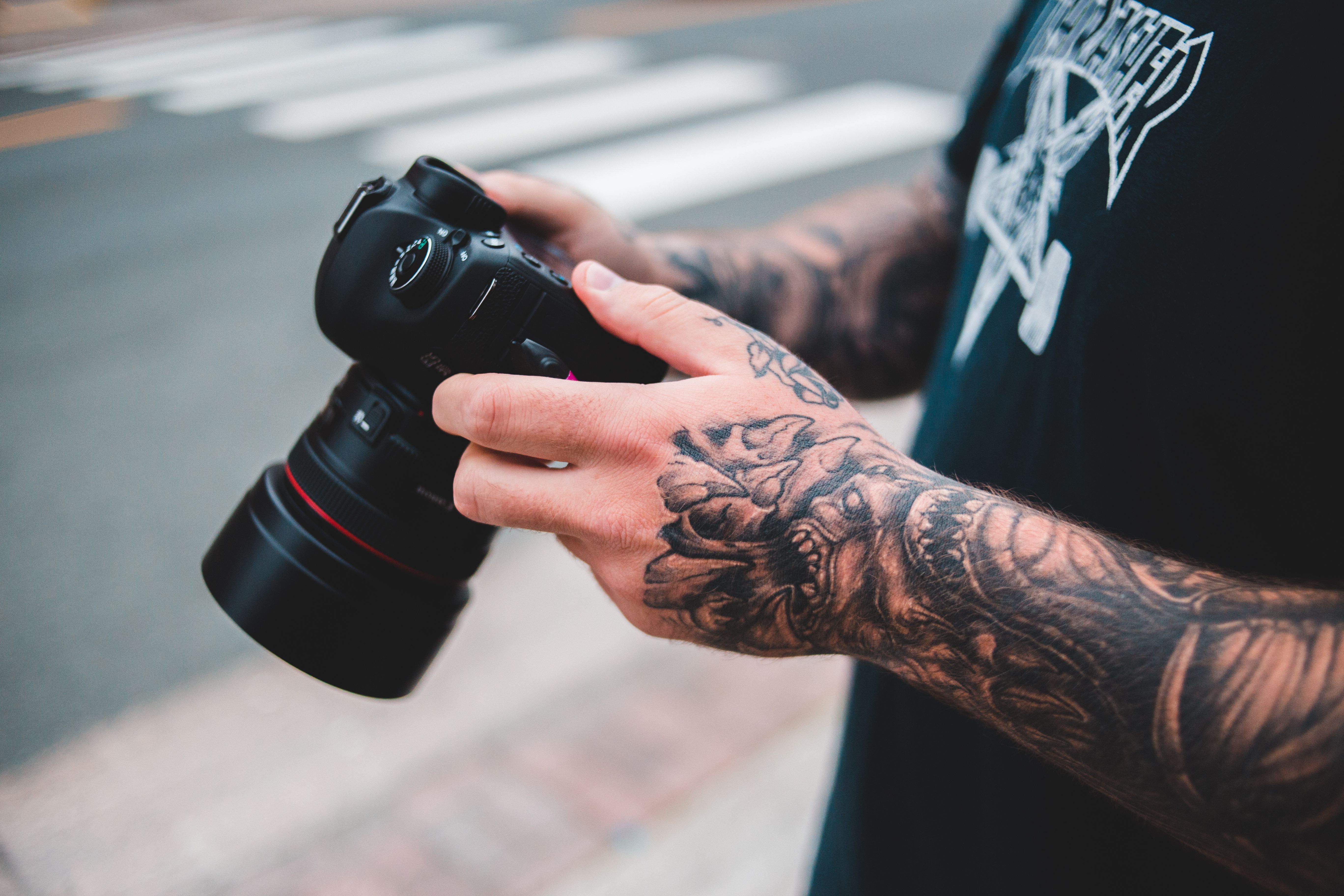 UF adds Western canon-focused courses to general education — Photo by Erik Mclean on Pexels
