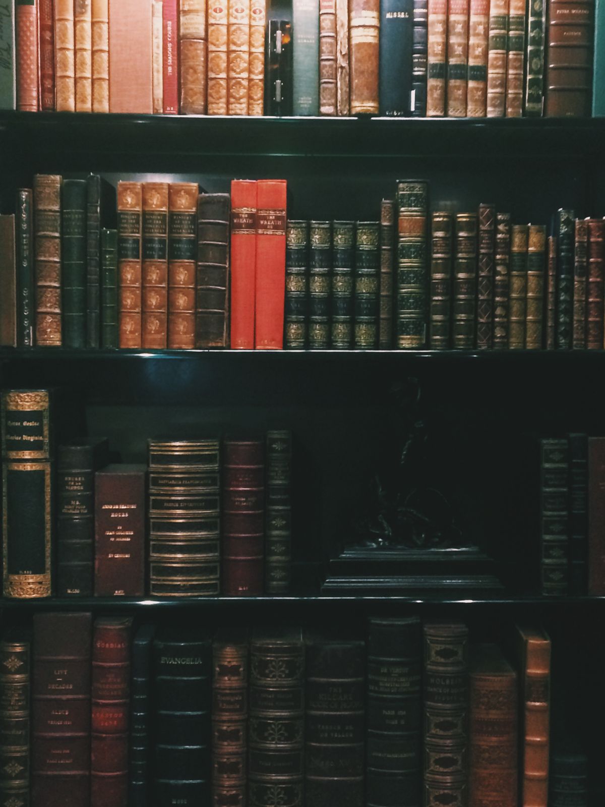 Cloth and leather spines on a shelf