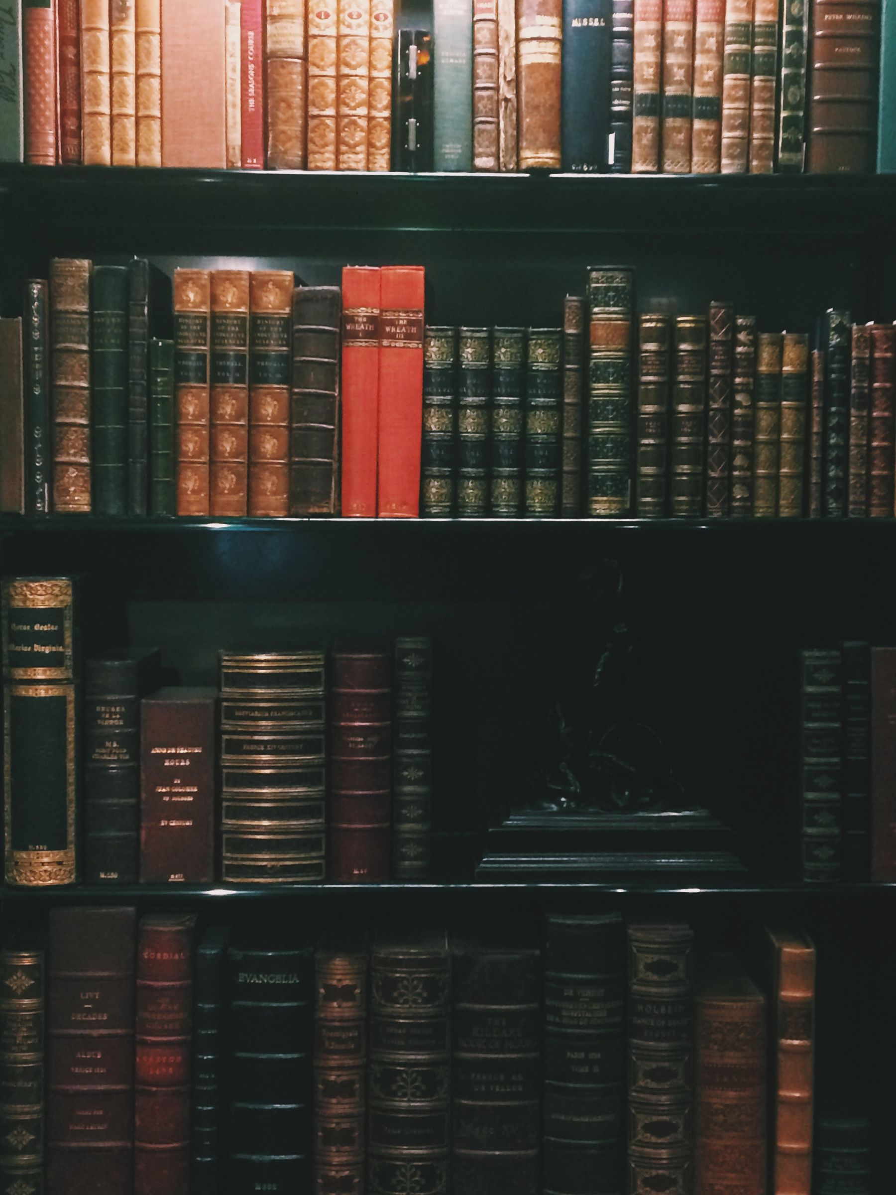 Rows of aged leather-bound books stored upright on dark wooden shelves