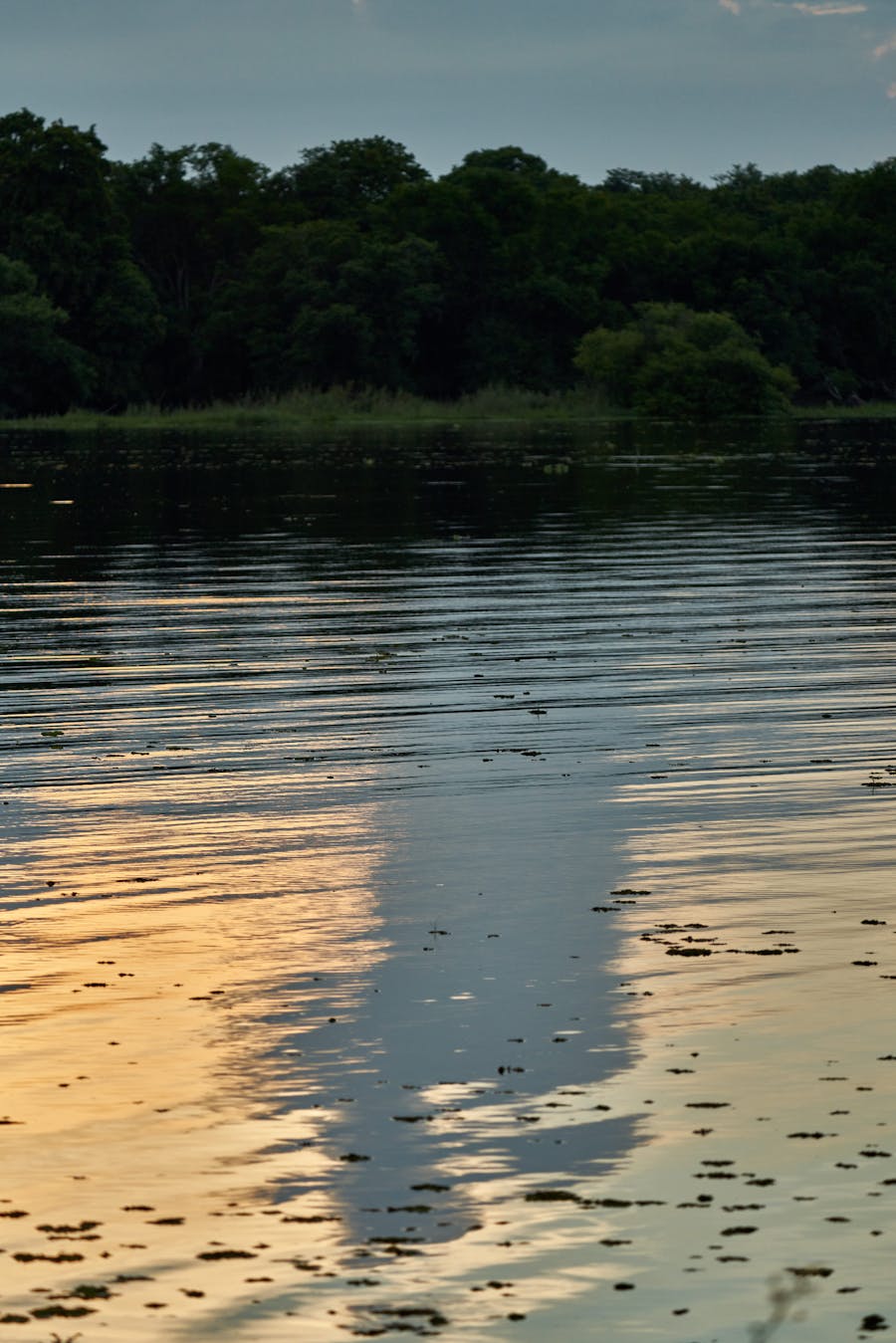 Como converter Celsius para Fahrenheit na prática