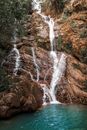 Water Falls in the Middle of Brown and Green Trees