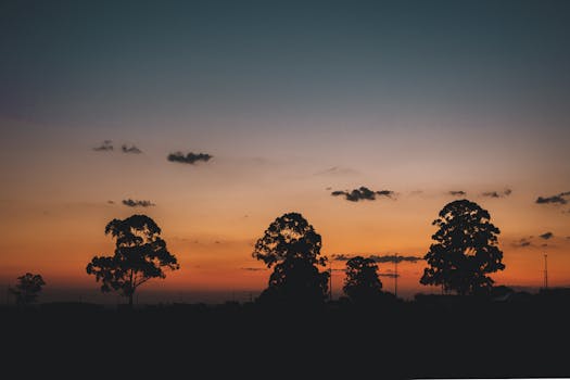 Peaceful sunset in Brasília with tree silhouettes against colorful sky.