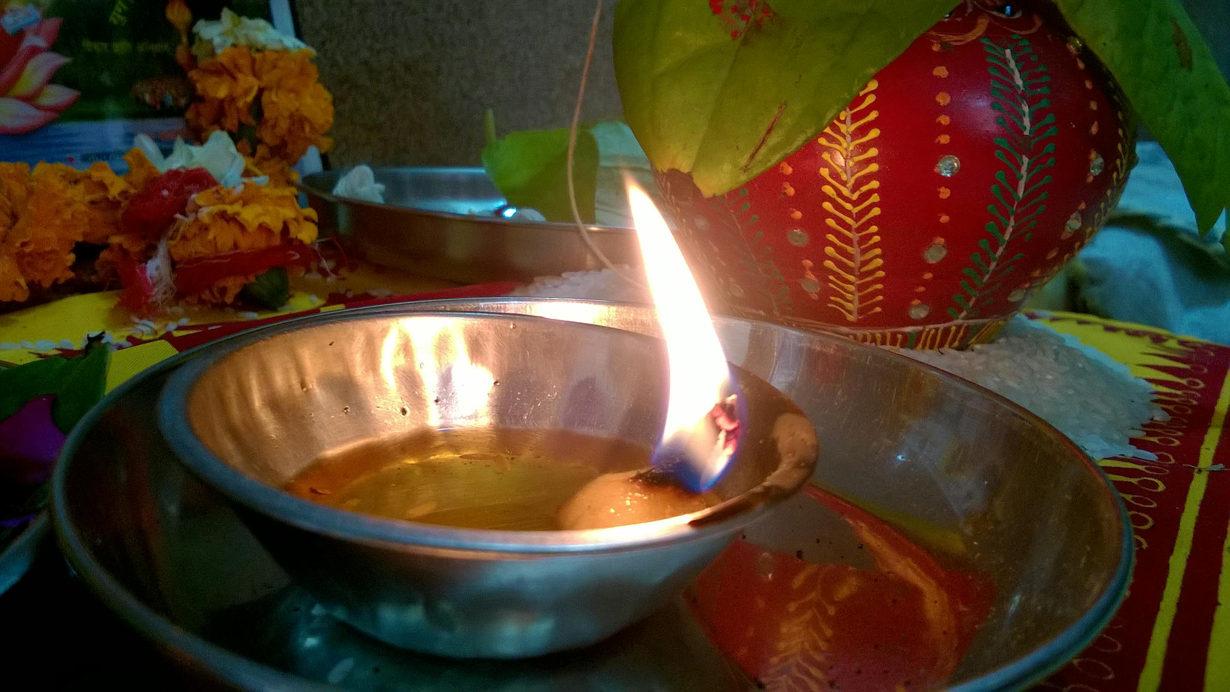 Free stock photo from Tejas · Pexels