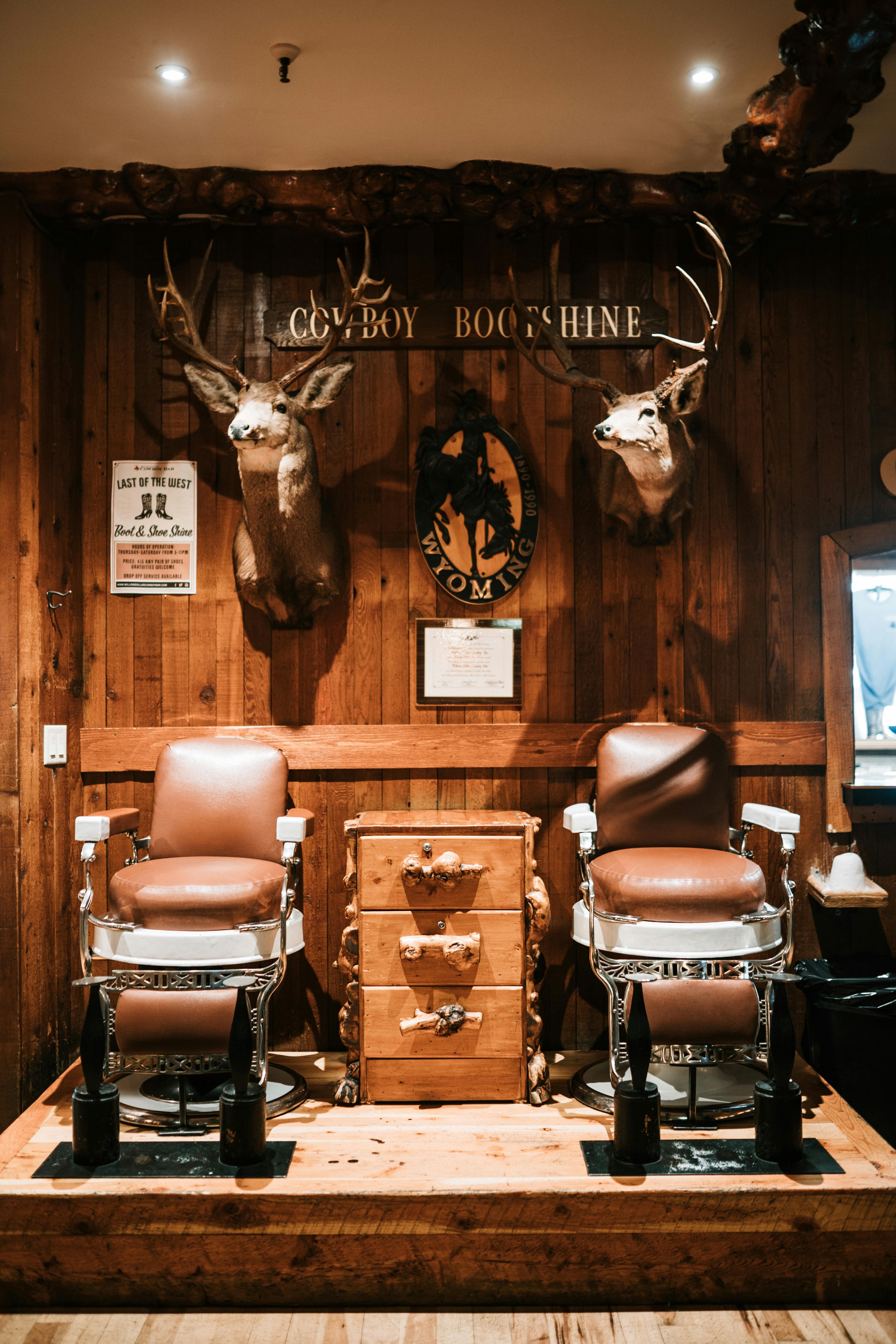 grátis Foto profissional grátis de acolhedor, América do Norte, animais montados Foto profissional