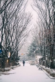 冬日，一个孤独的人走在首尔白雪皑皑的公园里，小路两旁是光秃秃的树木