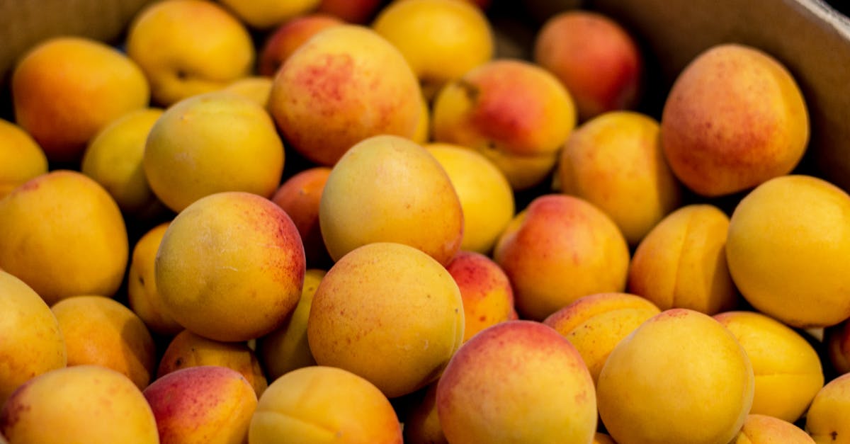 Free stock photo of apricot, color, fine