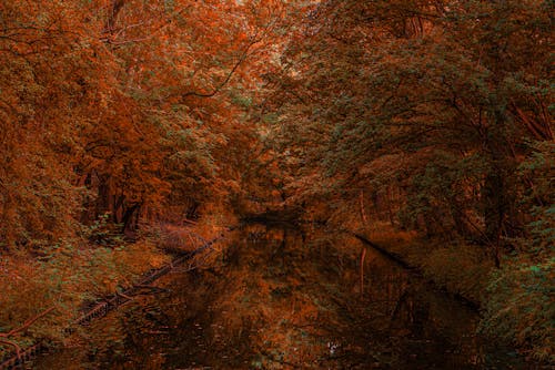 Fotobanka s bezplatnými fotkami na tému priveď ma späť