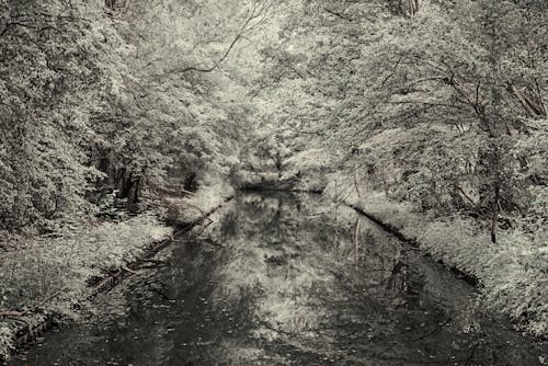 Fotobanka s bezplatnými fotkami na tému miluj moju sezónu