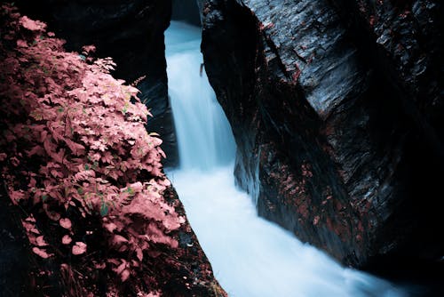 迪瓦恩瀑布 的 免费素材图片