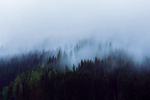 Free stock photo of ghosts chaos