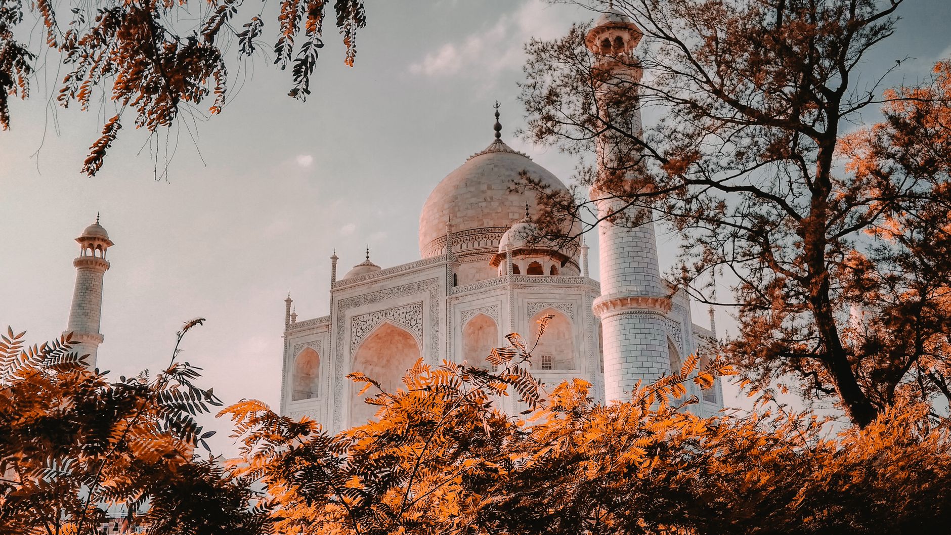 The Taj Mahal seen from a Taj Ganj rooftop at dawn, minarets above low brick houses