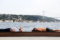Couple Sitting on Brown Wooden Bench