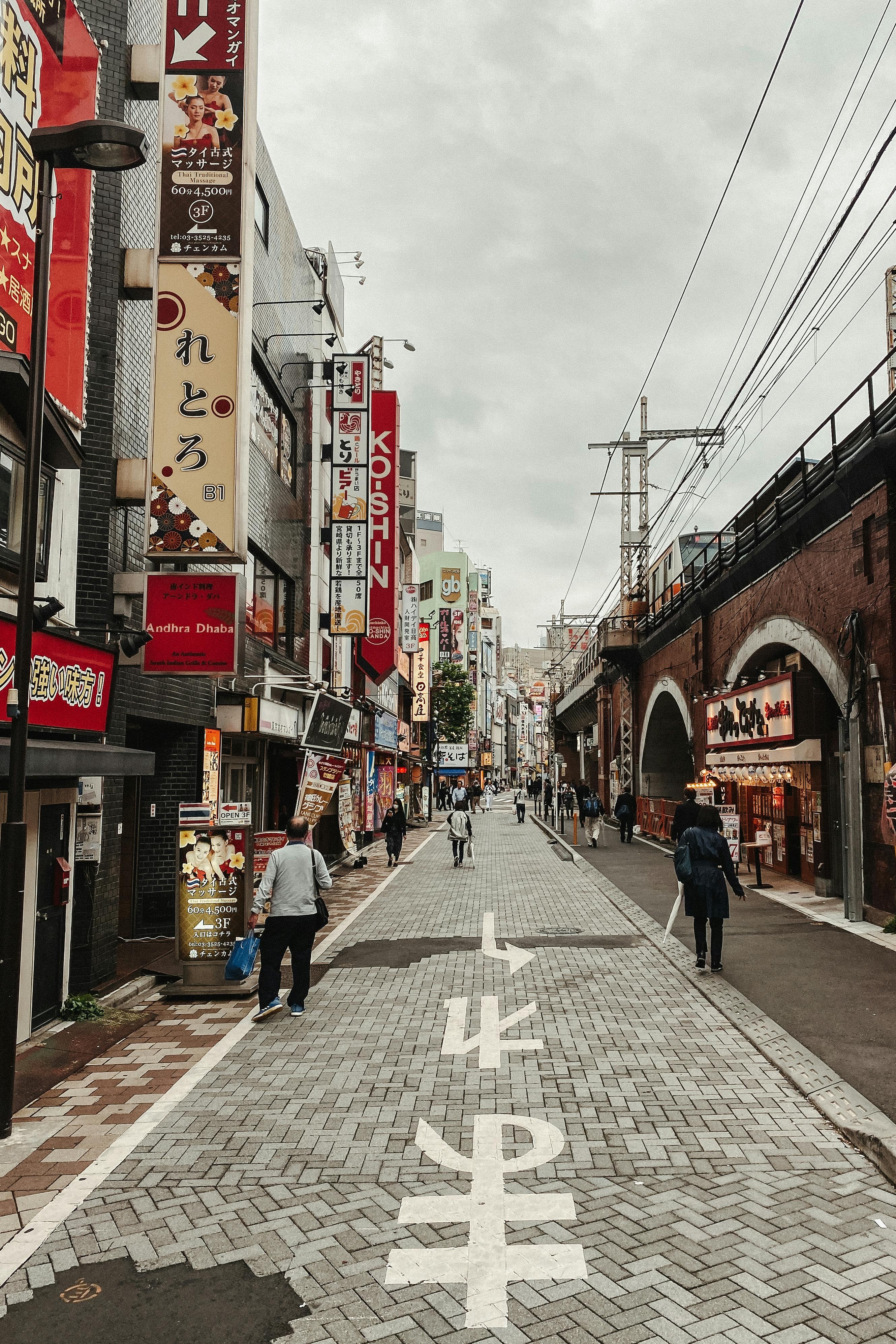 Person Walking Dogs On Leash in An Alley In Japan · Free Stock Photo