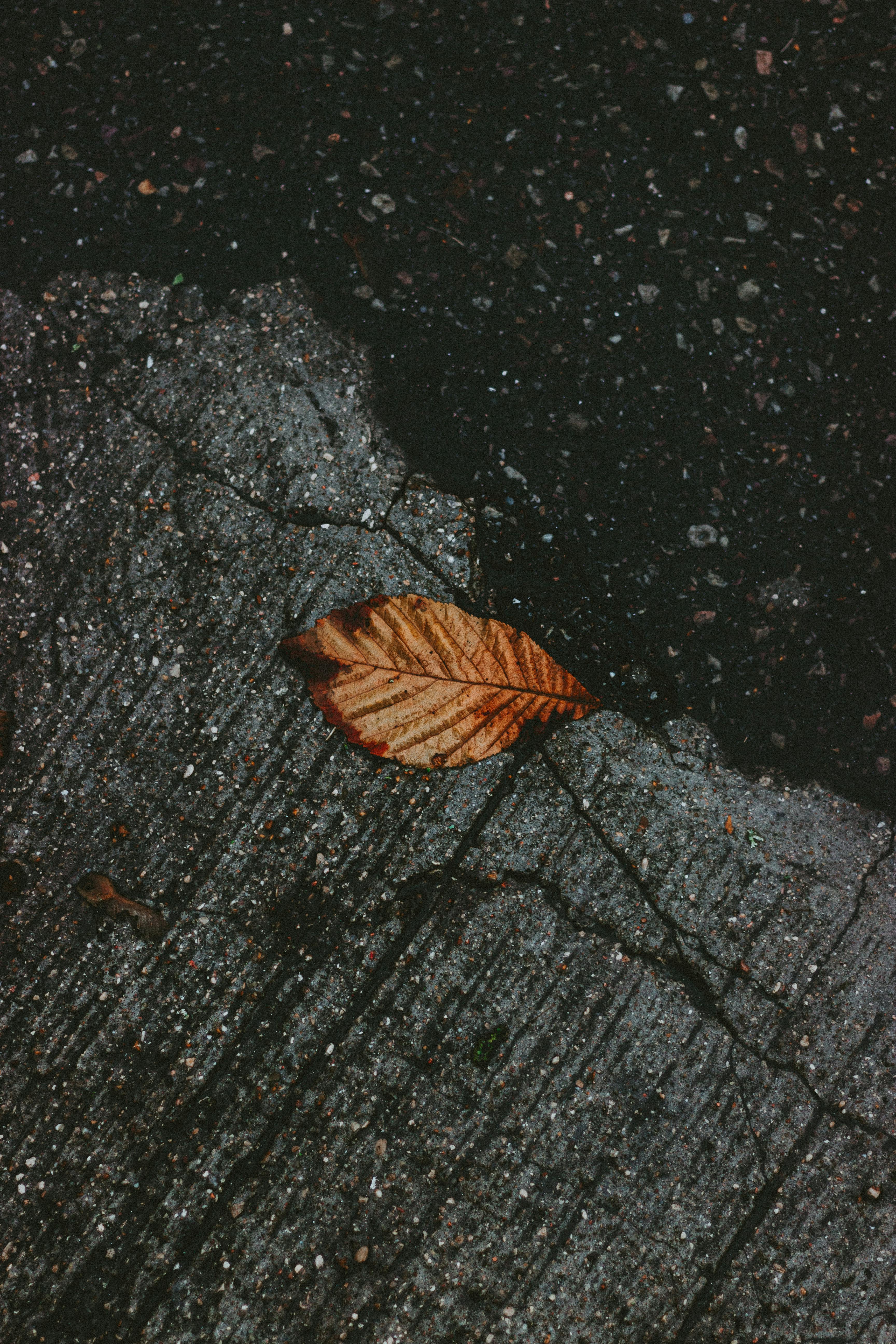 From above of lonely fallen yellow leaf on textured wet asphalt on street