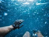 Person in Water With School of Fish