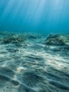 Underwater Photo of Sea Bottom