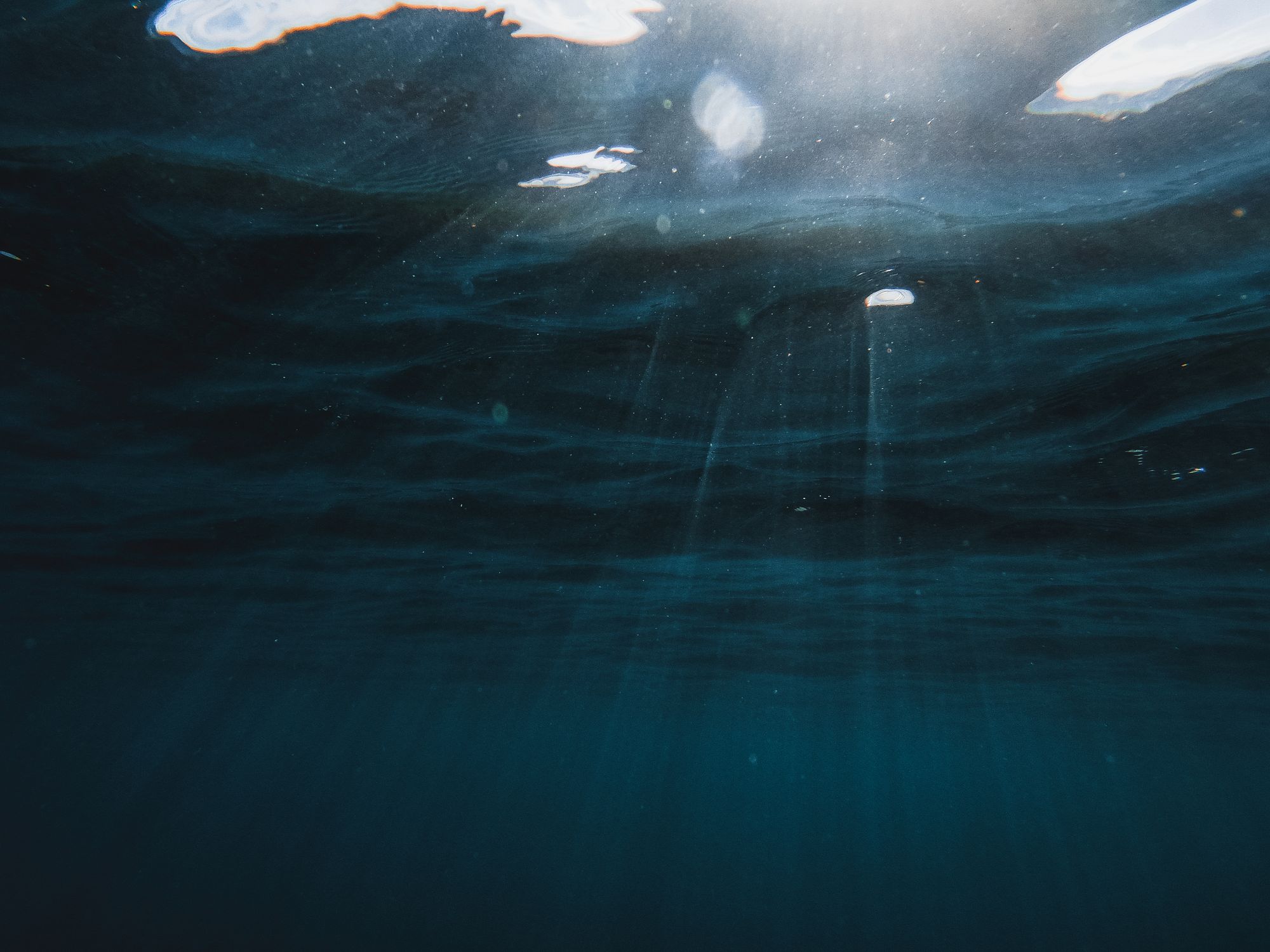 Peaceful underwater scene with sunlight filtering through ocean waves, capturing marine tranquility.