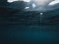 Artwork for Phytoplankton, Mitochondria, and Real-World Wellness: How Ocean Micro-Nutrition Fuels Human Vitality with David Hunter