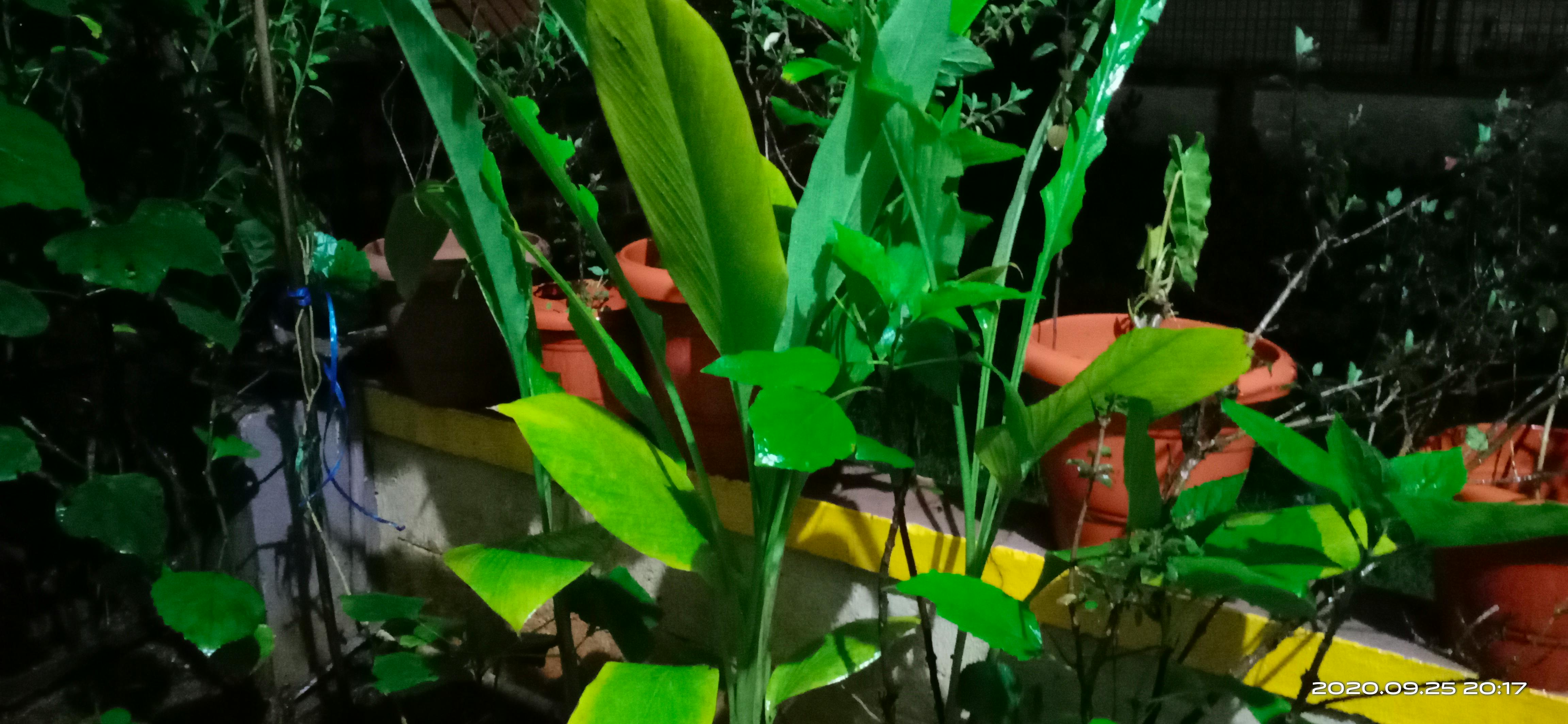 Ballot boxes and voting sign in United States election