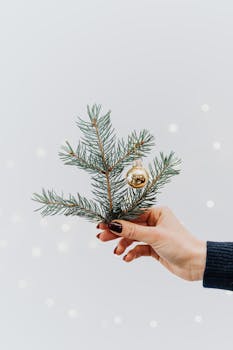 特写：一只手握着装饰有金色圣诞饰品的松枝