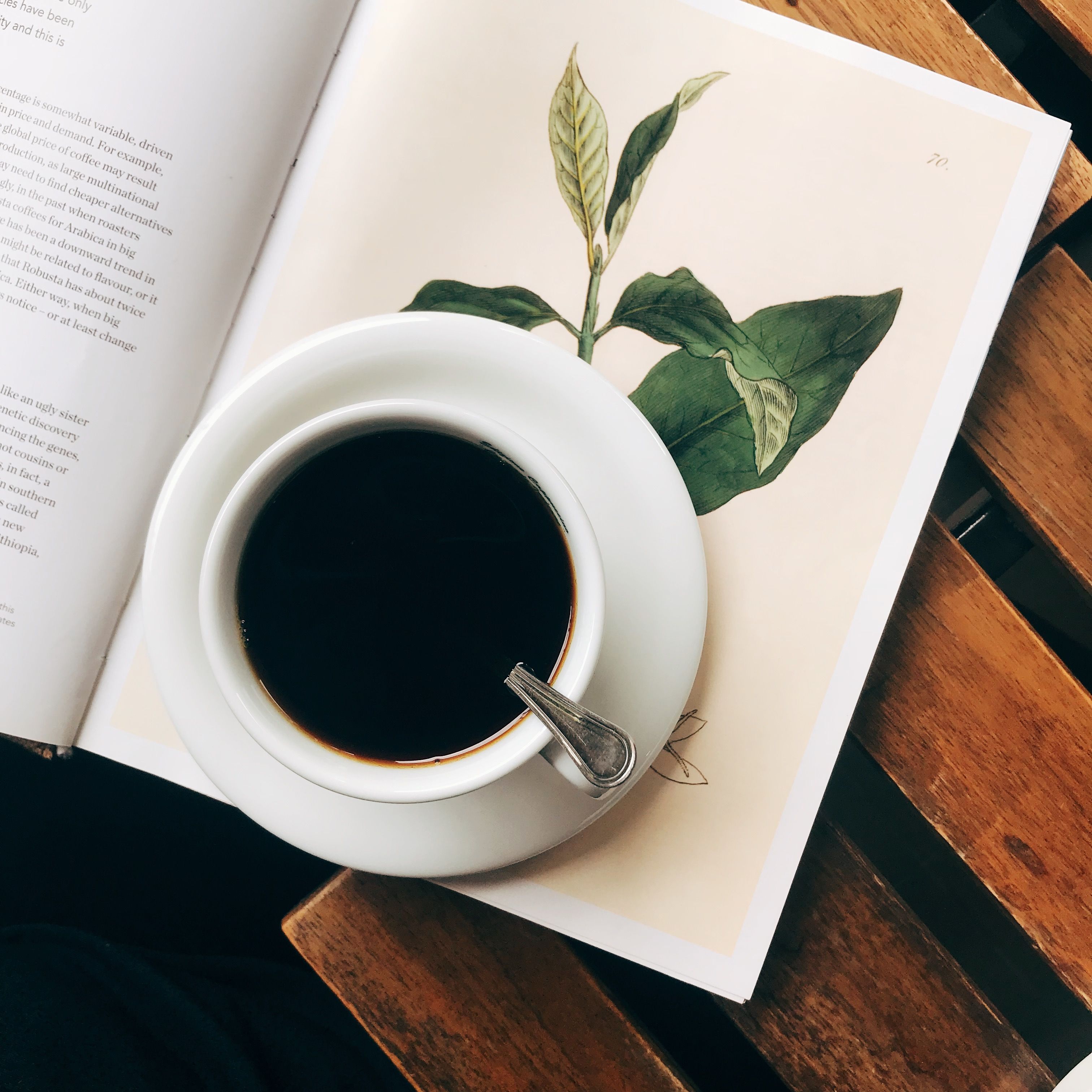 A top-down view of a cup of black coffee placed on an open botanical book on a wooden surface.