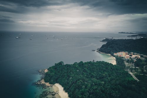 Drone view of peaceful sea with green tropical forest growing on shore in tropical country