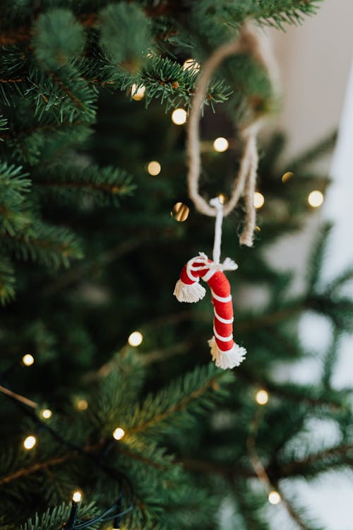 Gratis Fotos de stock gratuitas de adorno de navidad, árbol de Navidad, de cerca Foto de stock