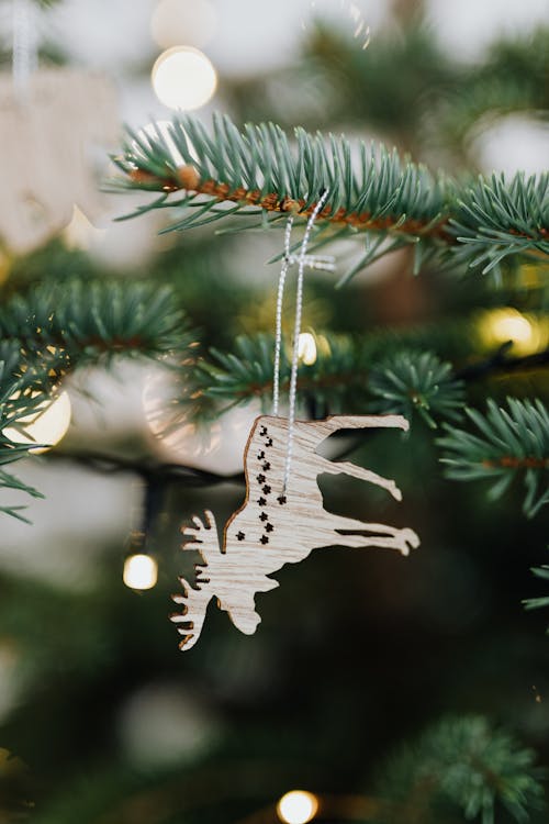 Foto d'estoc gratuïta de adorn nadalenc, arbre de Nadal, decoració nadalenca