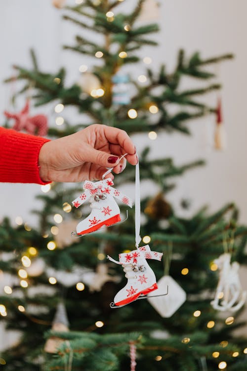 Woman Hand Holding Fir Tree Decoration