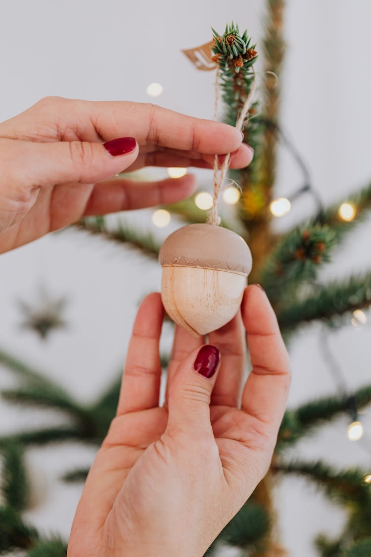 Person Holding An Acorn Christmas Ornament