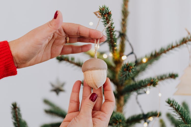 Person Holding An Acorn Christmas Ornament