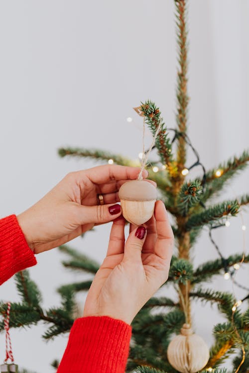 Person Holding an Acorn Christmas Ornament