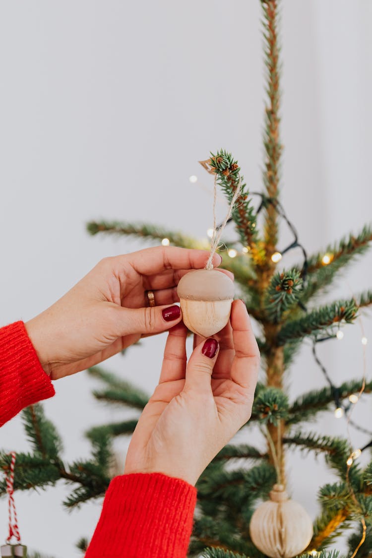 Person Holding An Acorn Christmas Ornament