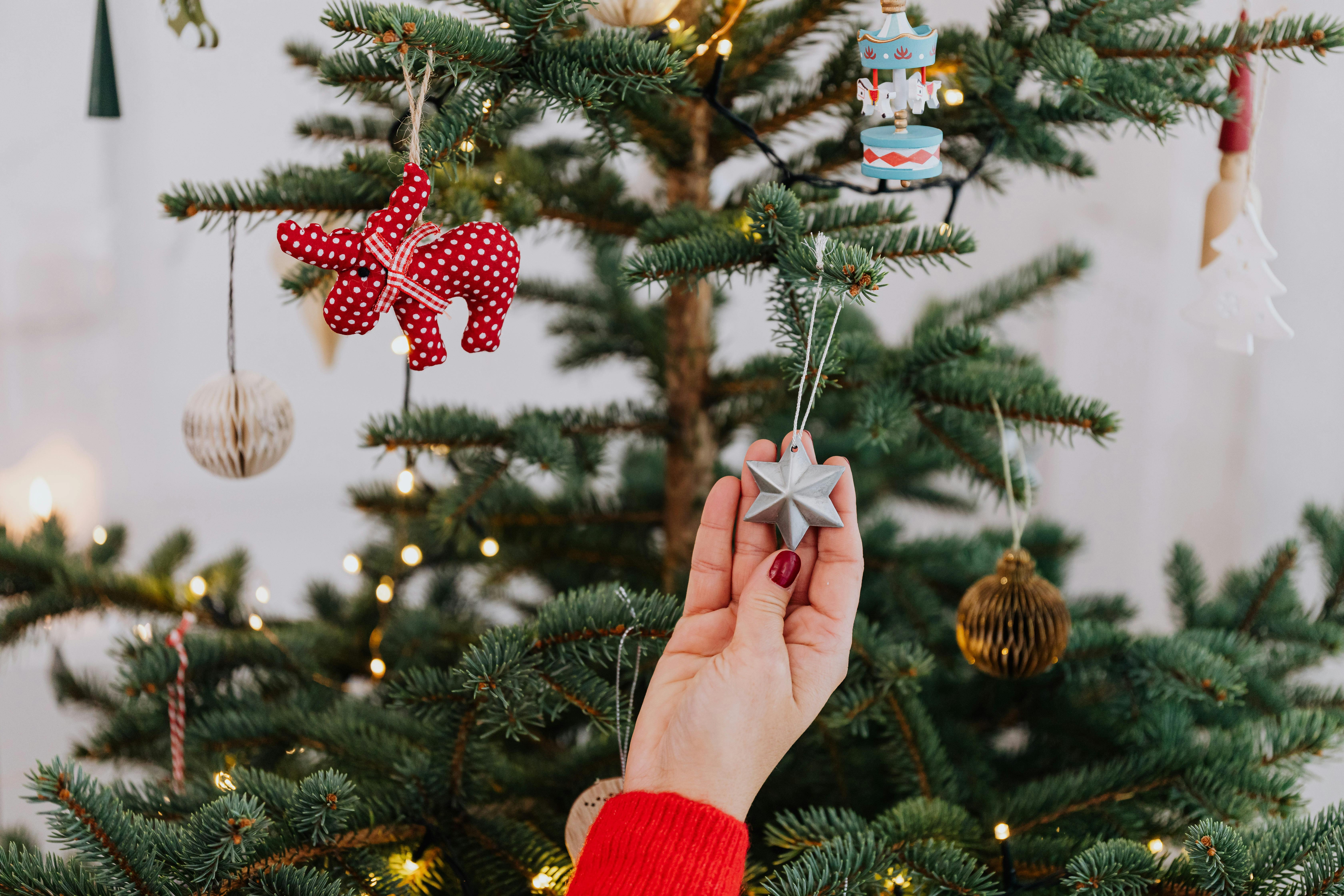 将星星装饰品放在室内装饰好的圣诞树上