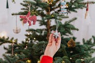 将星星装饰品放在室内装饰好的圣诞树上