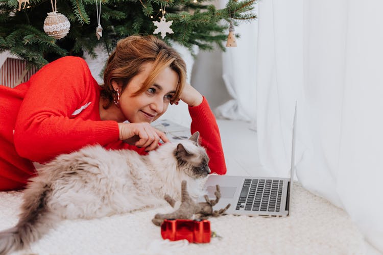 Woman In Red Knitted Sweater Watching On Laptop Beside White Cat