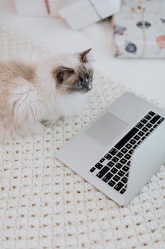 Image by Karolina Grabowska www.kaboompics.com