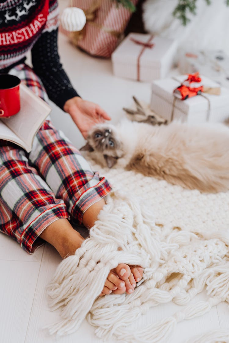 A Person With A Cat Sitting On The Floor