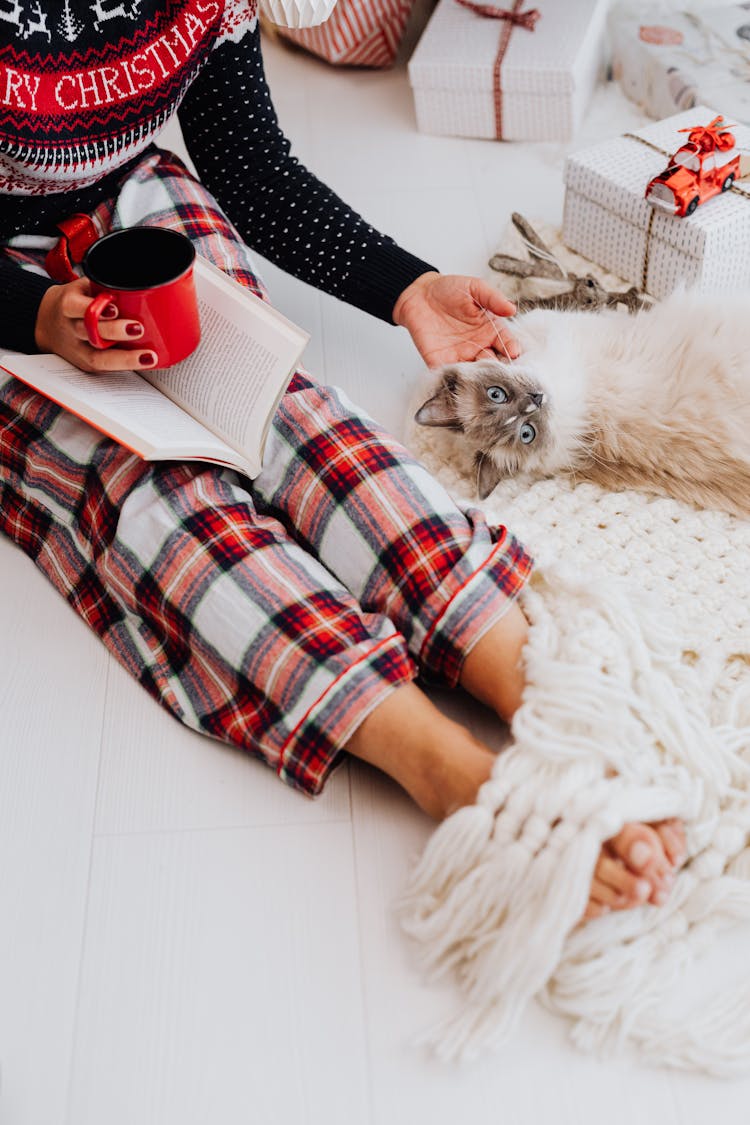 A Person With A Cat Sitting On The Floor