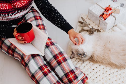 Free A Woman Sitting on the Floor and Petting Her Cat Stock Photo