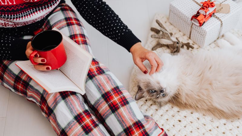 Eine Person in kariertem Schlafanzug und Norwegerpullover sitzt mit einem aufgeschlagenen Buch und einer roten Tasse und krault eine helle Langhaarkatze, die auf einer Strickdecke neben einem Päckchen liegt