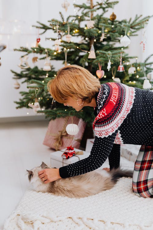 Fotos de stock gratuitas de árbol de Navidad, cargado, decoraciones