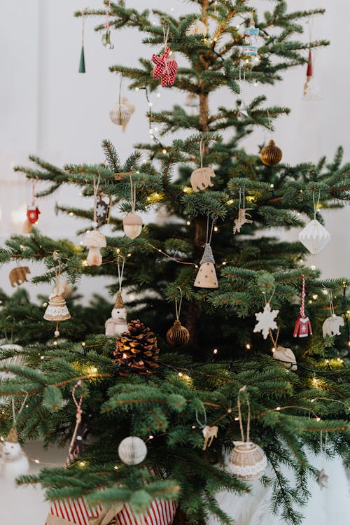 Foto d'estoc gratuïta de adorn nadalenc, arbre de Nadal, celebració