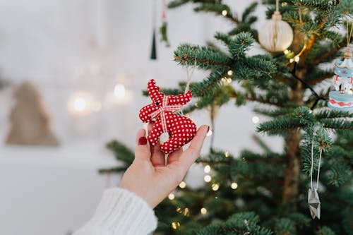 Person Holding a Christmas Decor